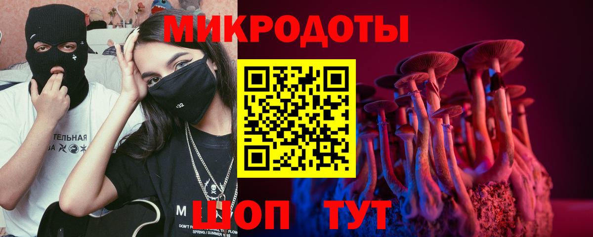 Псилоцибиновые грибы ЛСД  Вход с VPN  Псилоцибиновые грибы GOLDEN TEACHER  Каменка 